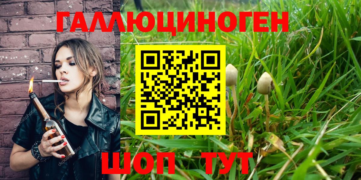 хочу   Вход с VPN  Махачкала  Галлюциногенные грибы GOLDEN TEACHER 